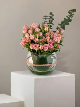 رونيلا