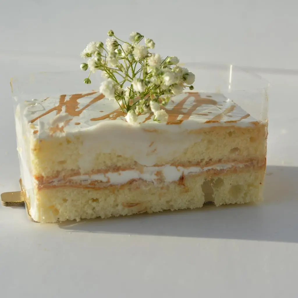 Rectangular Vanilla Cake Pieces