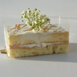 Rectangular Vanilla Cake Pieces