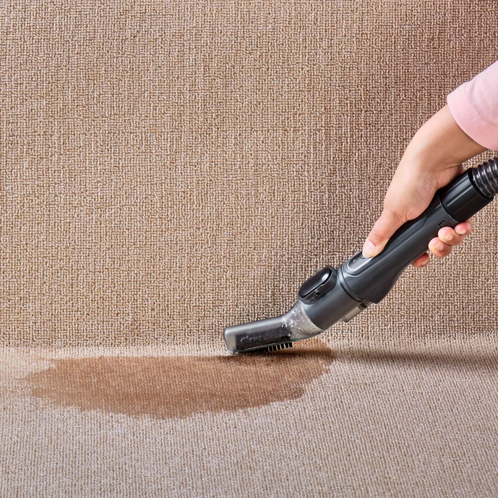 Black+Decker Spot Cleaner - view 4