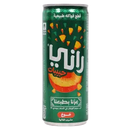 Rani Float Juice 240 ml