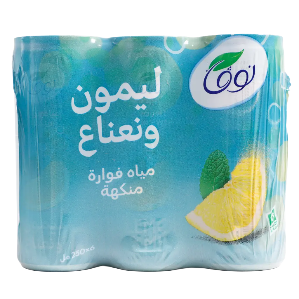 Nova Sparkling Water Lemon Mint  6 pcs 250 ml - view 2