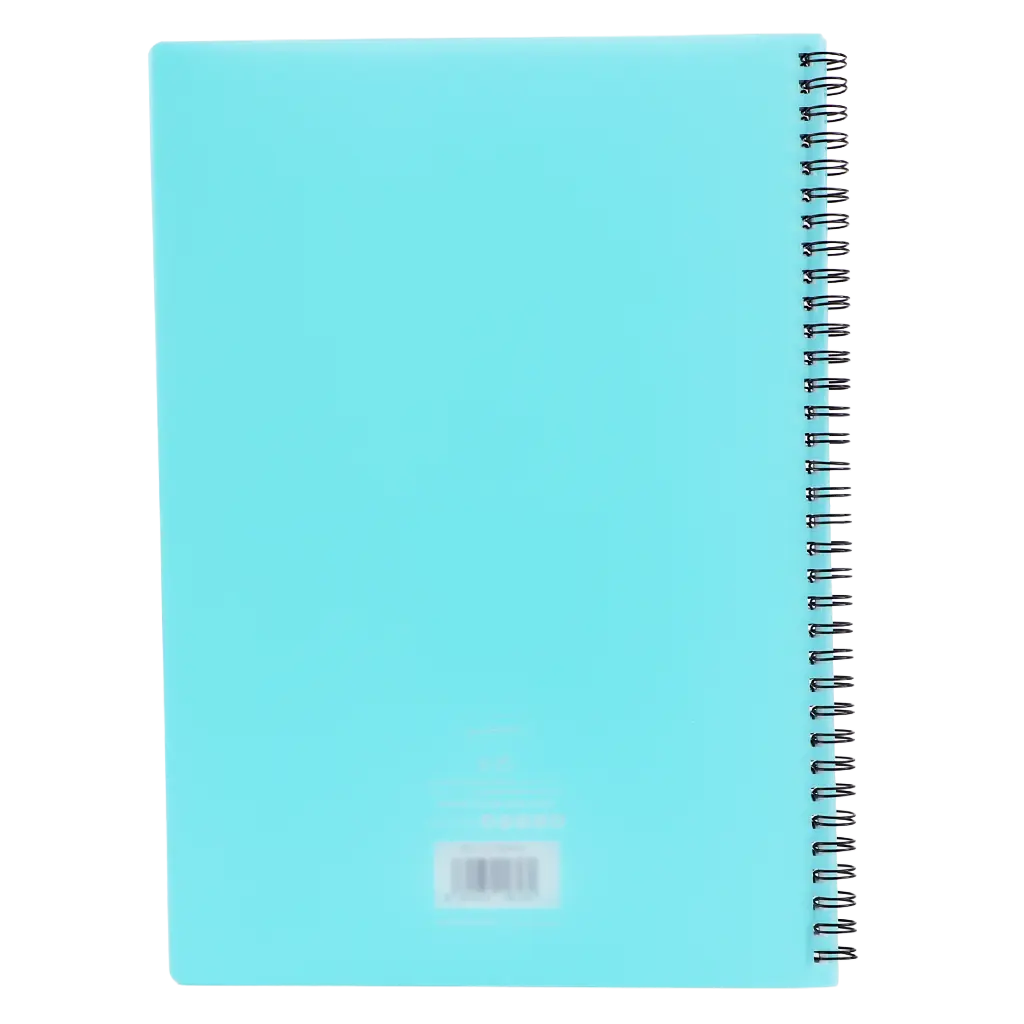 Roco Notebook  A4 Double Ruled English 100 Sheets Aqua - view 2