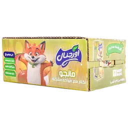 Original Nectar Mango with Mix Fruit 18 pcs 125 ml