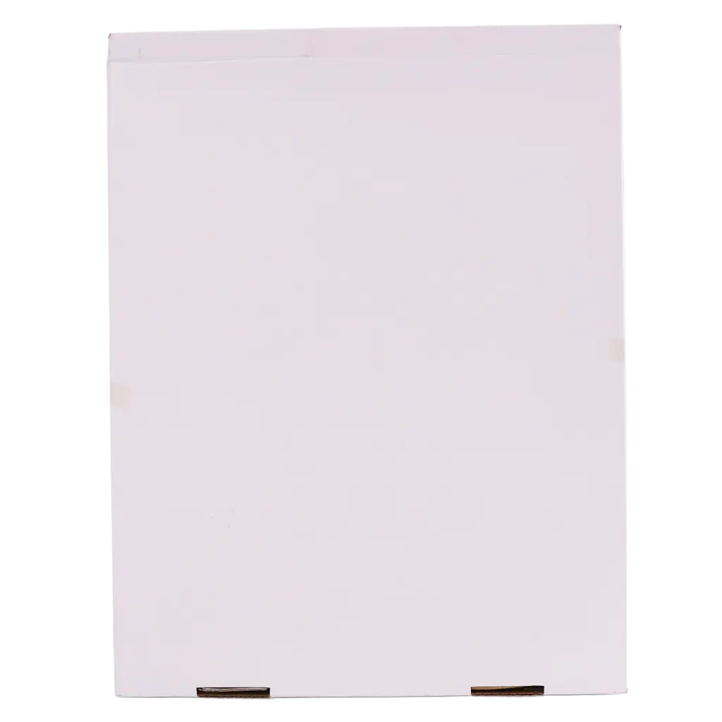Sab  Multi Punched Sheet Protector  Box Of 100 pxs  A4 Size - view 2