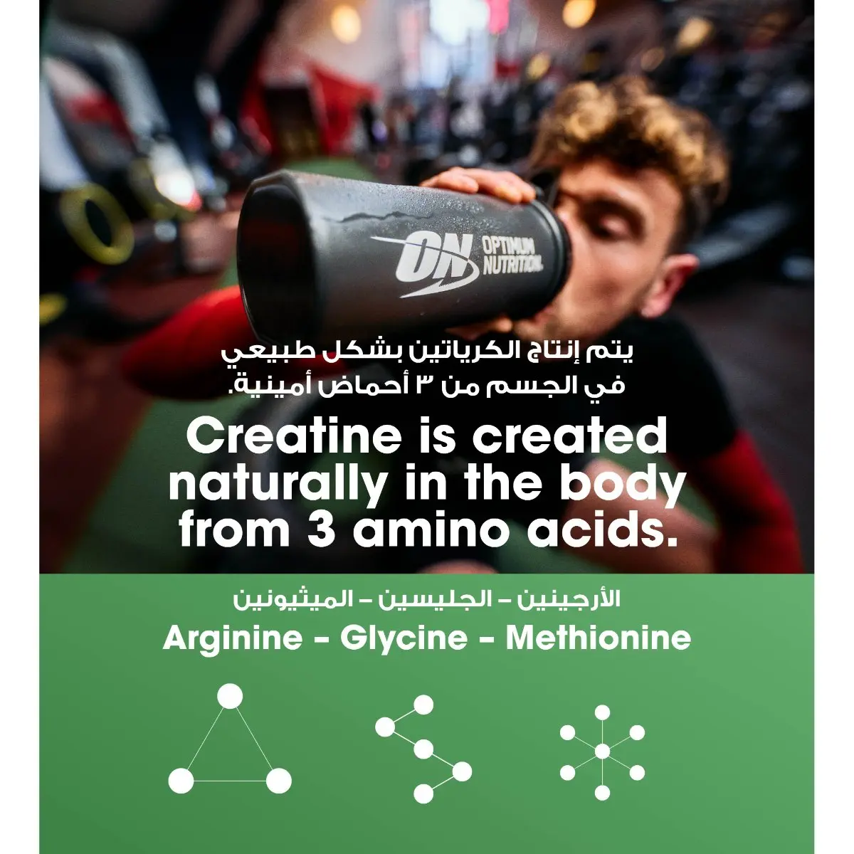 Optimum Nutrition Creatine 300 gm - view 8