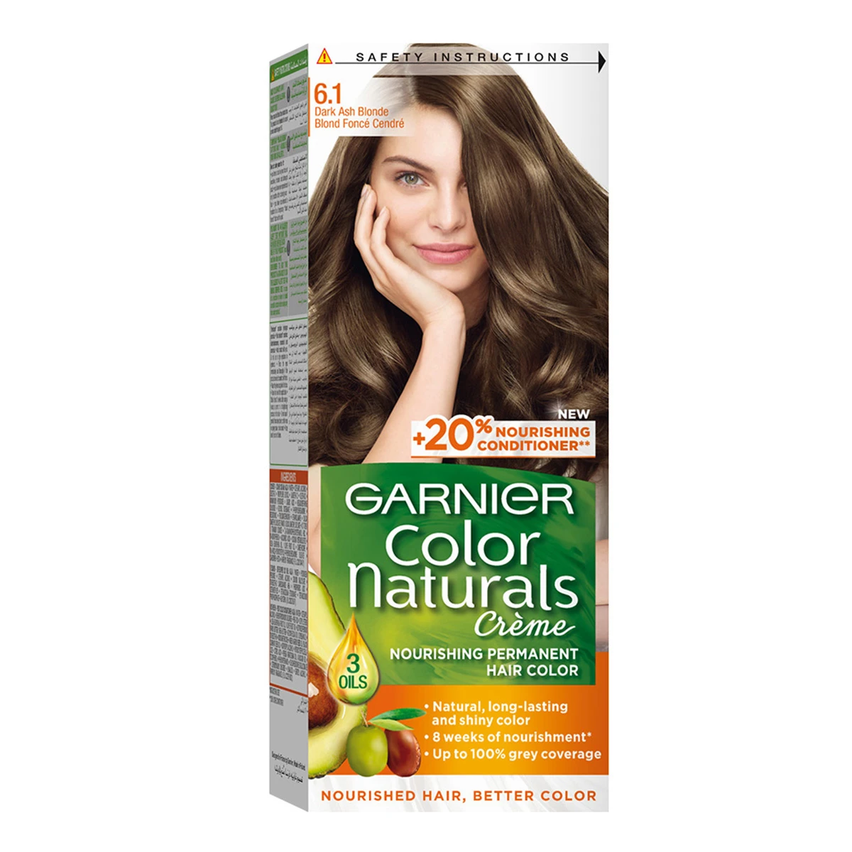 Garnier Hair Color Dark Ash Blonde 6.1