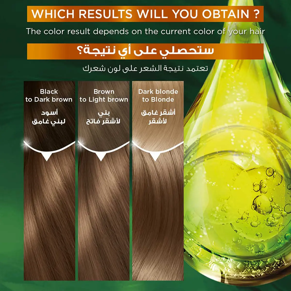 Garnier Hair Color Dark Ash Blonde 6.1 - view 3