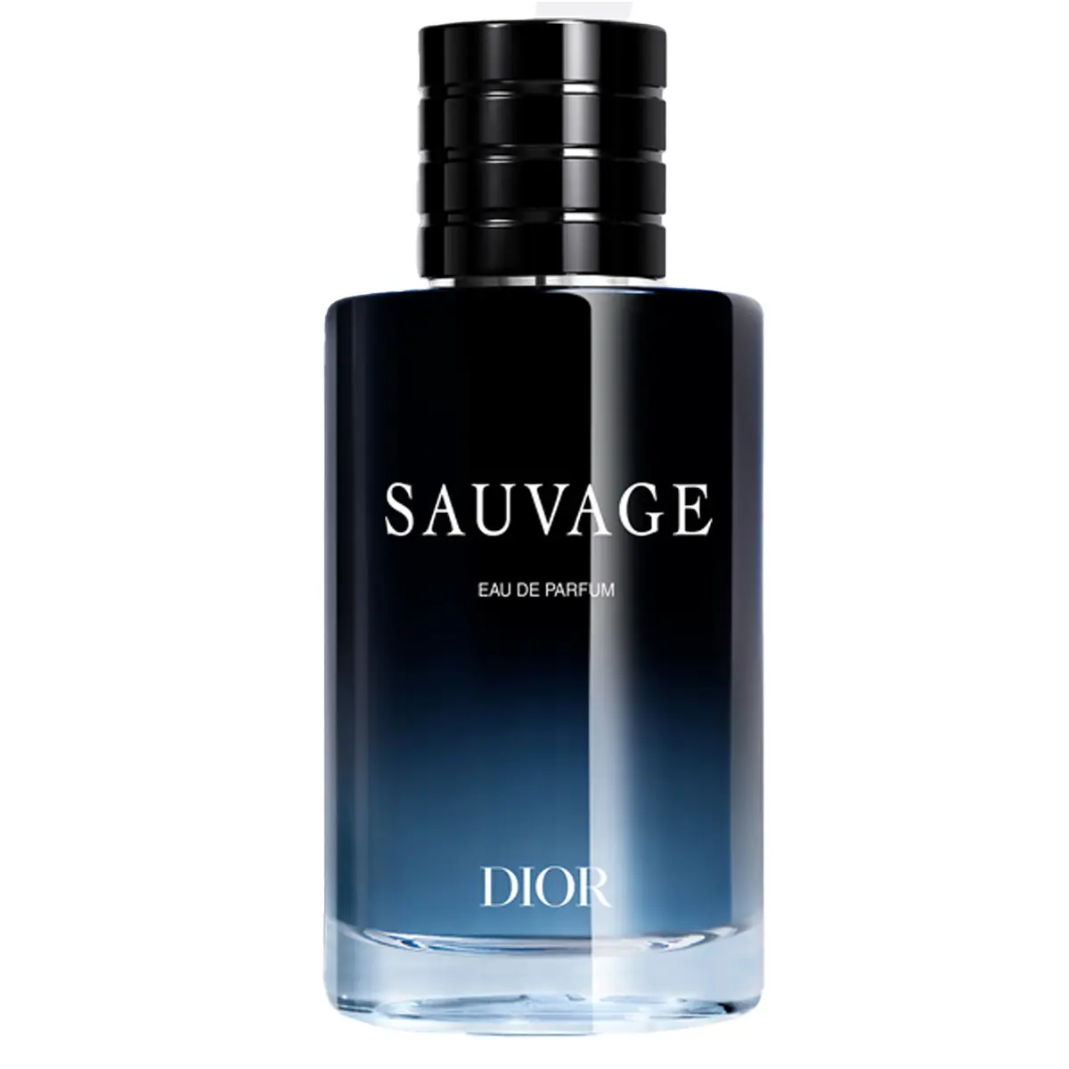 Dior Sauvage For Men EDP 100 ml - view 1