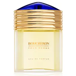 Boucheron Pour Homme For Men EDP 100 ml