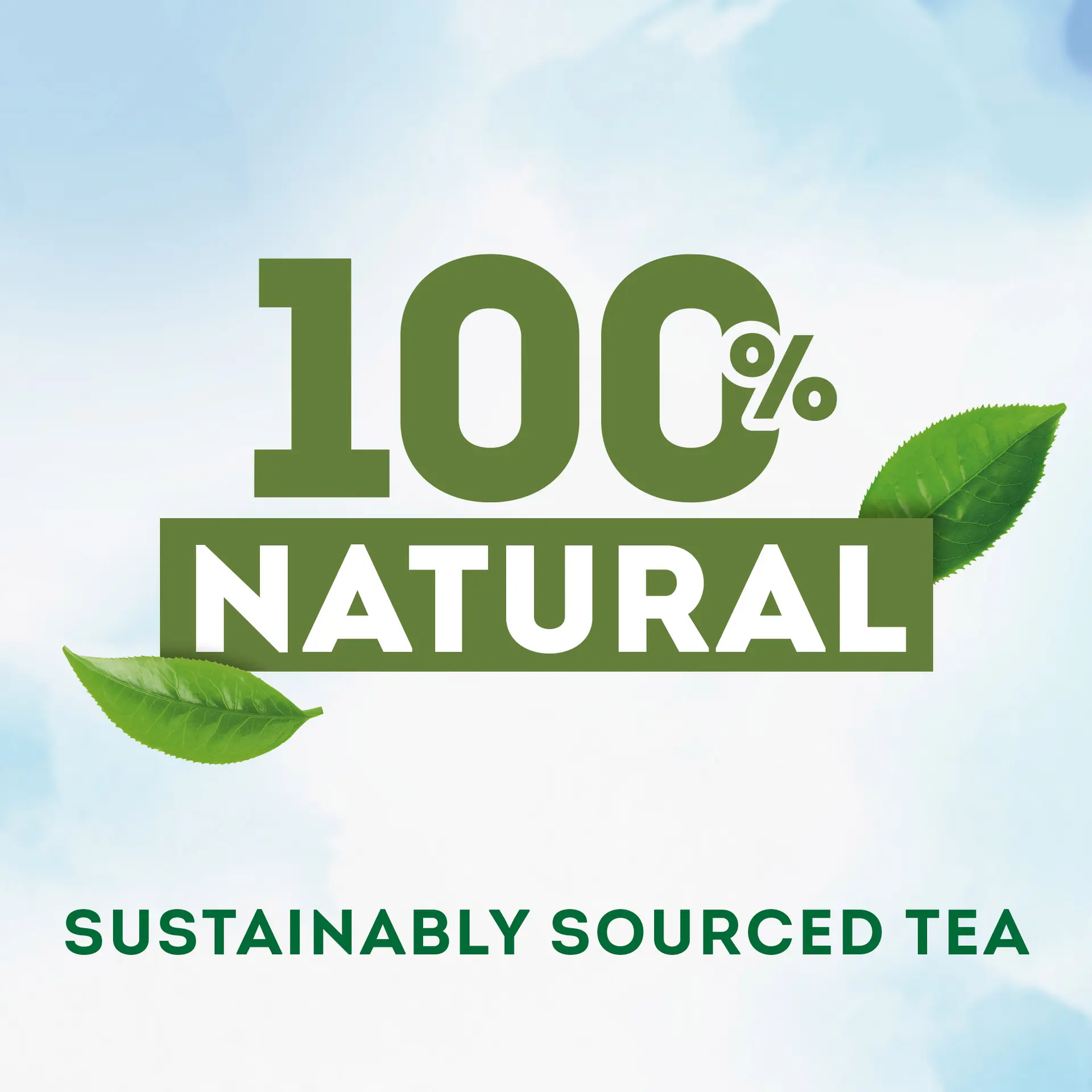 Lipton Green Tea Matcha 20 Bags - view 5