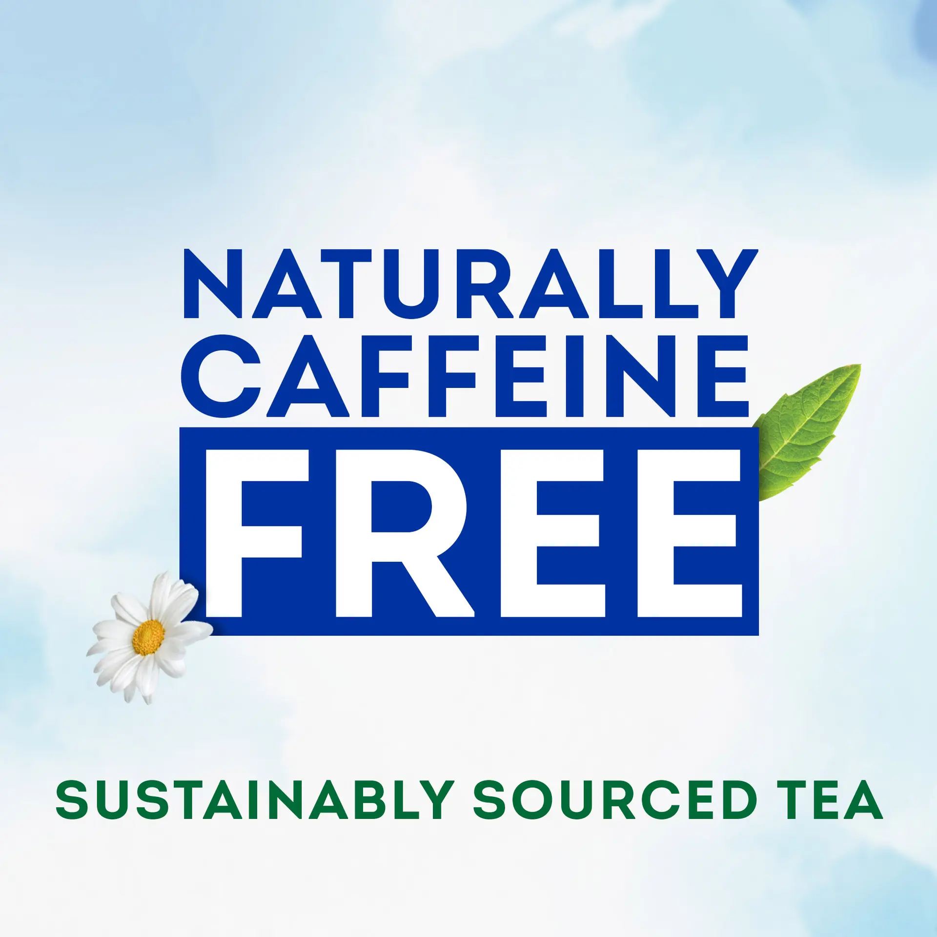 Lipton Herbal Tea Sweat Night Caffiene Free 20 Bags - view 3