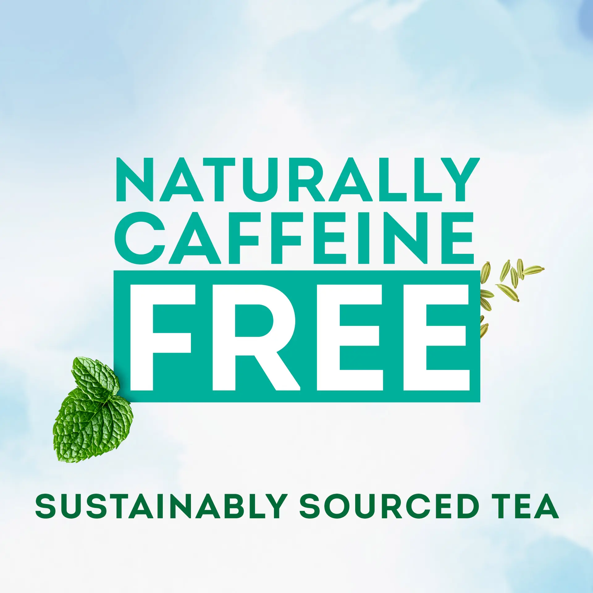 Lipton Herbal Tea After Meal Caffiene Free 20 Bags - view 3