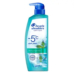 Head & Shoulders Ice Fresh Anti Dandruff Shampoo 500 ml