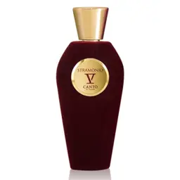 V Canto Stramonio Unisex Extrait de Parfum 100 ml