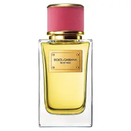دولتشي اند غابانا عطر فيلفيت روز للنساء او دي برفيوم 100 مل
