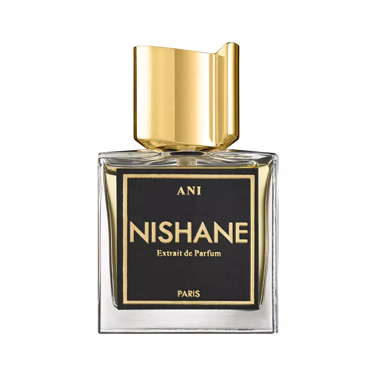 نيشاني عطر اني للجنسين اكستريت دي بارفيوم 100 مل - view 1