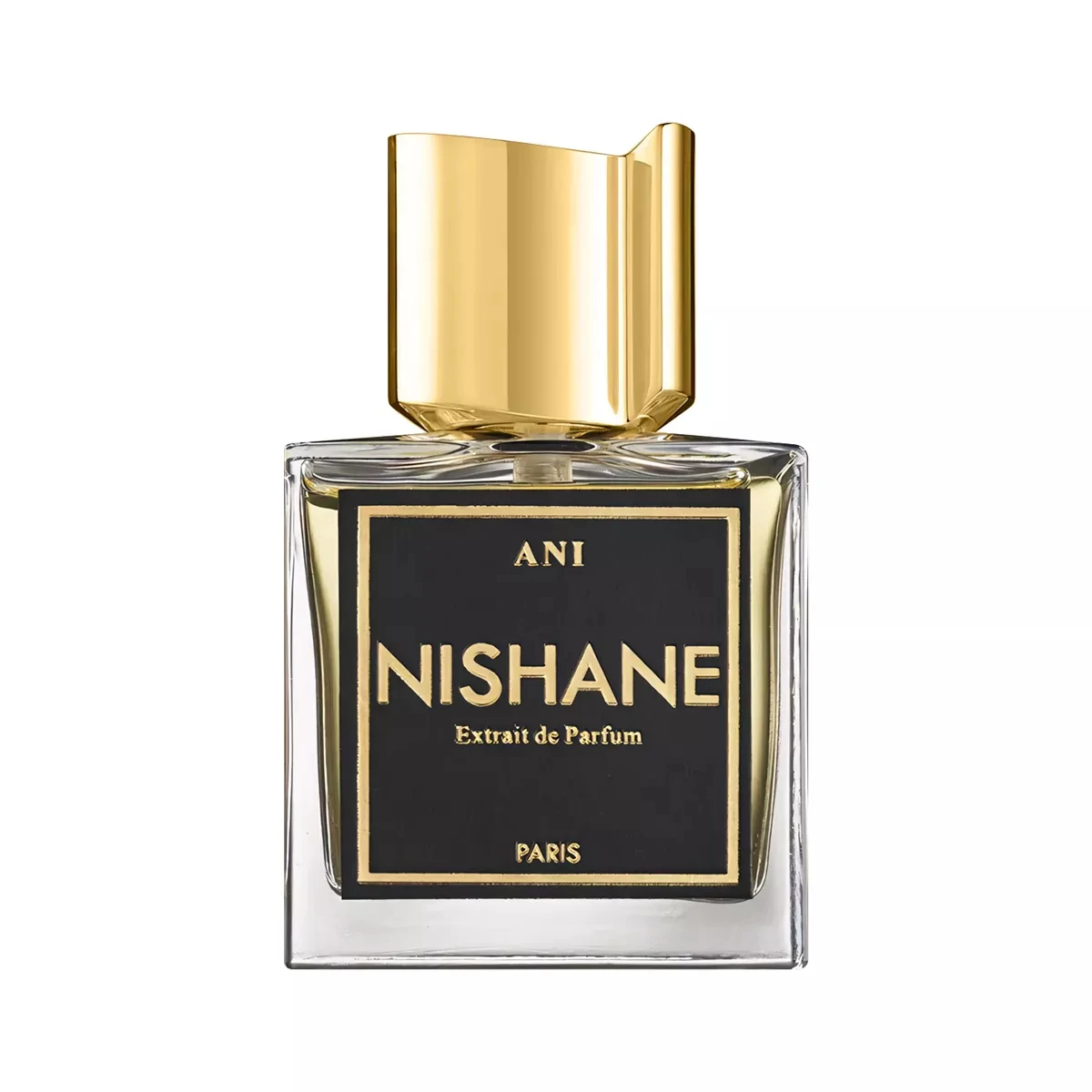 نيشاني عطر اني للجنسين اكستريت دي بارفيوم 100 مل