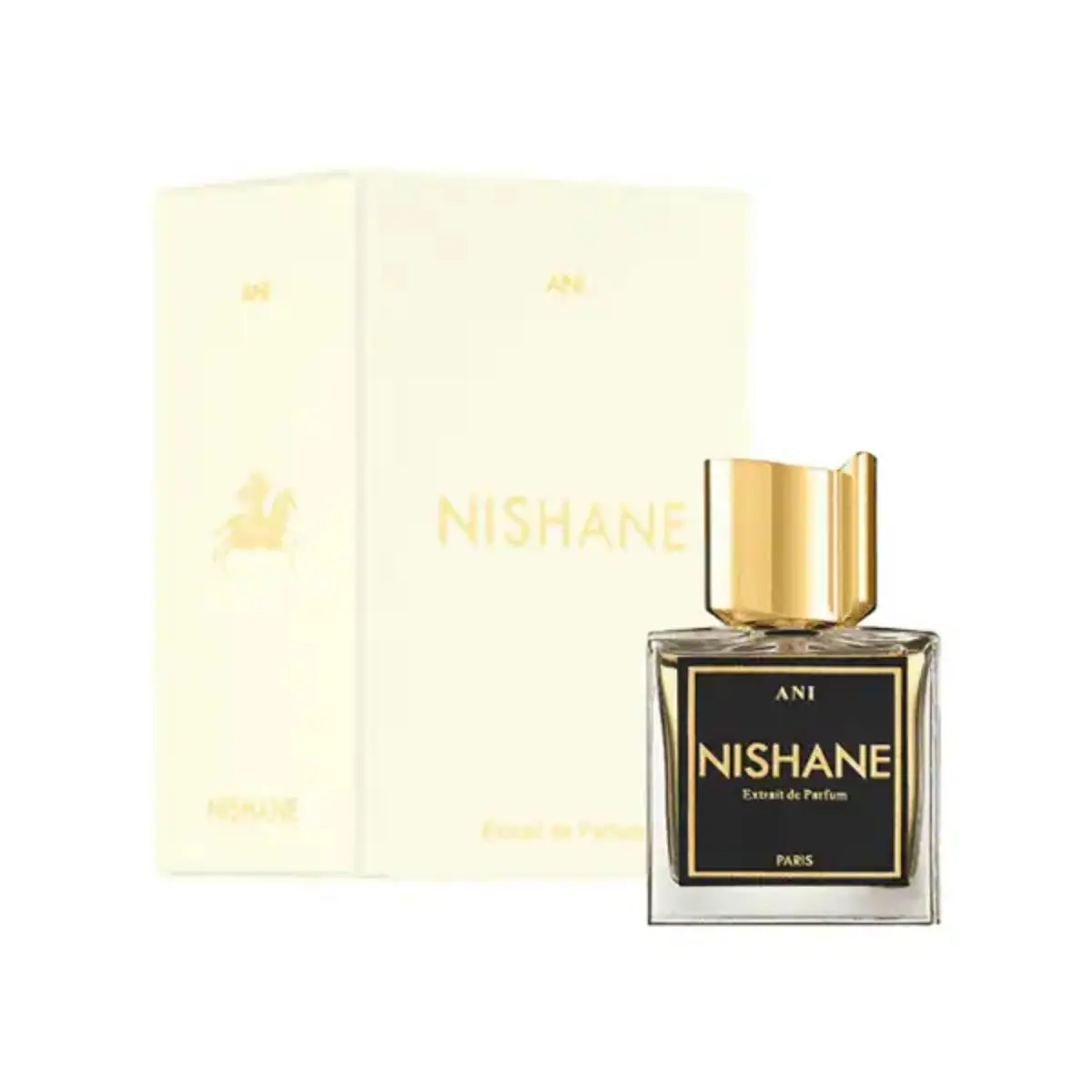 نيشاني عطر اني للجنسين اكستريت دي بارفيوم 100 مل - view 2