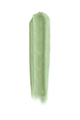Pastellab Lip Scrub Renewal Mint