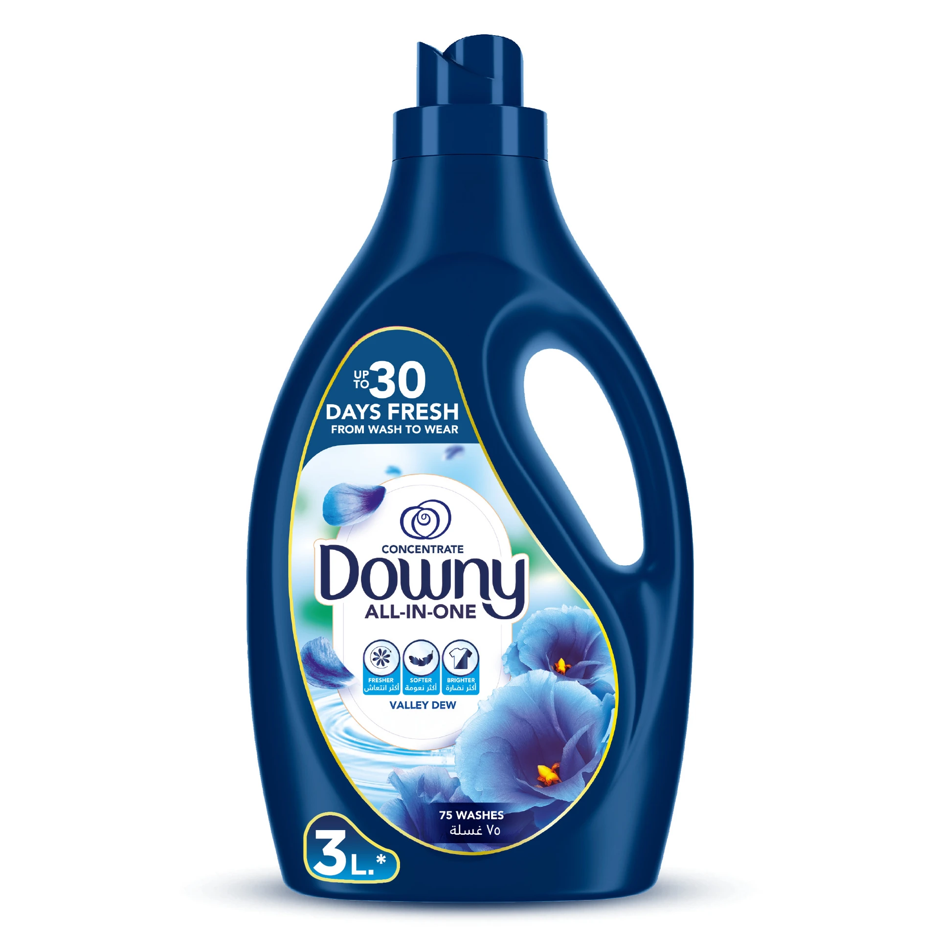 Downy All-in-One Concentrate Fabric Softener Valley Dew 3 L 